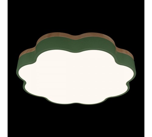 Накладной светильник Loft it 10225/36 Green Axel Накладной светильник Loft it 10225/36 Green Axel
