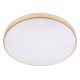 Накладной светильник Loft it 10228/B Flims