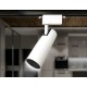 Светильник на штанге Ambrella Light GL5852 GL