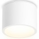 Накладной светильник Ambrella Light TN6550 TN