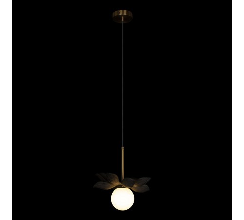 Подвесной светильник Loft it 10213/B Black Monro