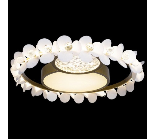 Накладной светильник Loft it 10174 Bride Накладной светильник Loft it 10174 Bride