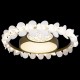 Накладной светильник Loft it 10174 Bride
