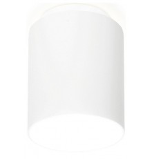 Накладной светильник Ambrella Light TN261 TN
