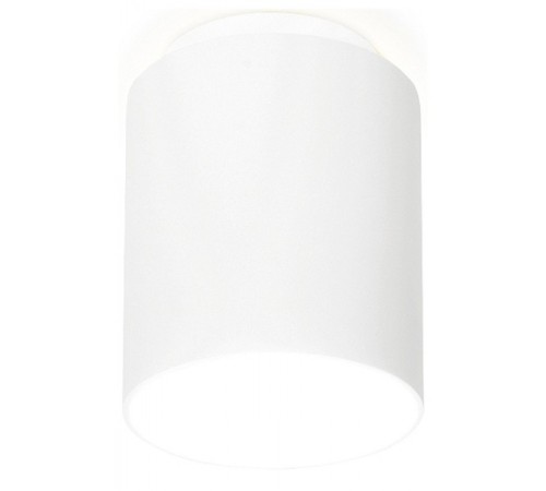 Накладной светильник Ambrella Light TN261 TN Накладной светильник Ambrella Light TN261 TN
