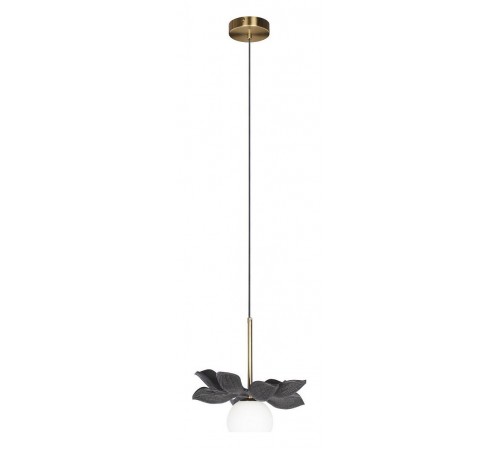 Подвесной светильник Loft it 10213/B Black Monro
