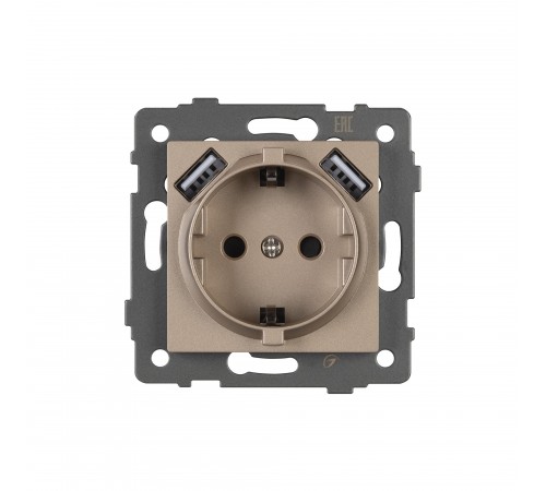 Розетка с заземлением и 2хUSB type A, без рамки Arlight 49821 SCT