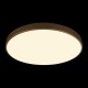 Накладной светильник Loft it 10228/B Flims