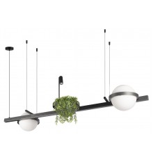 Подвесной светильник Loft it 10121/D Dark grey Jardin