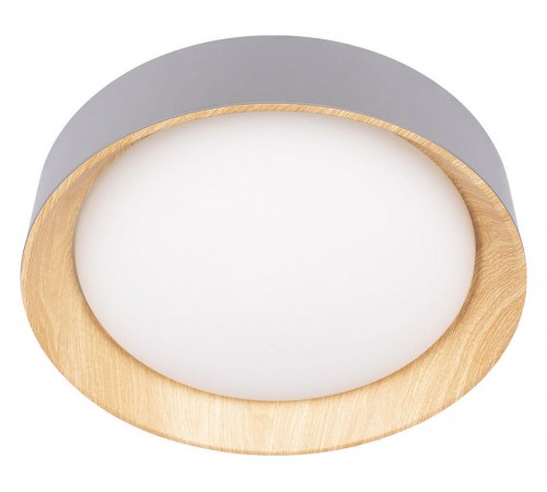 Накладной светильник Loft it 10202 Grey Coin Накладной светильник Loft it 10202 Grey Coin