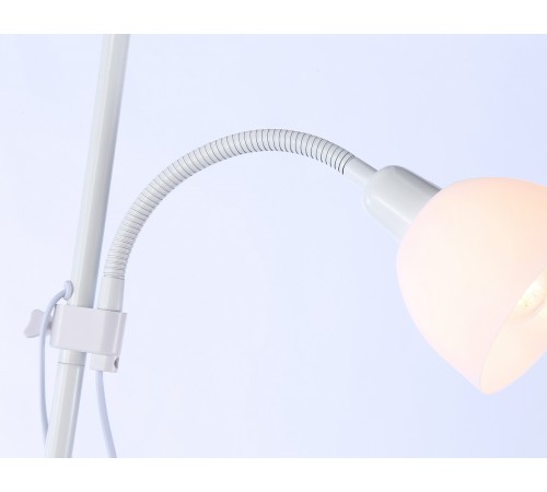Торшер с подсветкой Ambrella Light TR97622 TR Торшер с подсветкой Ambrella Light TR97622 TR