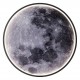 Накладной светильник Escada 10226/SG LED Moon Planet