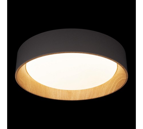 Накладной светильник Loft it 10202 Grey Coin Накладной светильник Loft it 10202 Grey Coin