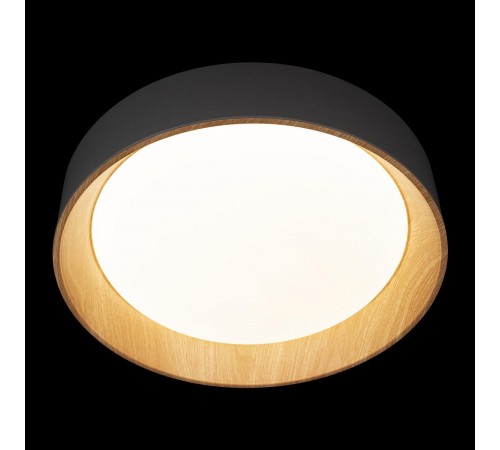 Накладной светильник Loft it 10202 Grey Coin Накладной светильник Loft it 10202 Grey Coin