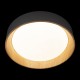 Накладной светильник Loft it 10202 Grey Coin