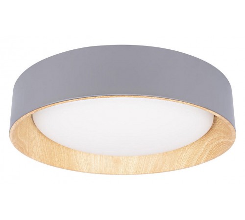 Накладной светильник Loft it 10202 Grey Coin Накладной светильник Loft it 10202 Grey Coin