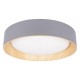 Накладной светильник Loft it 10202 Grey Coin