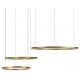 Подвесной светильник Loft it 10017/3S Ring