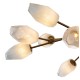 Люстра на штанге Indigo 13003/12C Brass Boccio