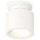 Накладной светильник Ambrella Light XS7510041 XS