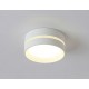 Накладной светильник Ambrella Light TN5391 TN