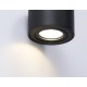 Накладной светильник Ambrella Light TN223 TN