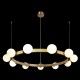 Подвесная люстра Loft it 10311/14 Hoop