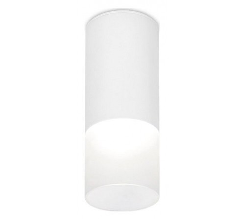 Накладной светильник Ambrella Light TN230 TN Накладной светильник Ambrella Light TN230 TN