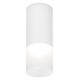 Накладной светильник Ambrella Light TN230 TN