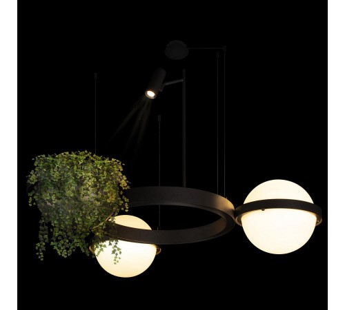 Подвесной светильник Loft it 10121/2 Jardin Подвесной светильник Loft it 10121/2 Jardin