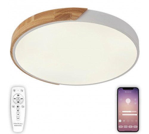 Накладной светильник Natali Kovaltseva LED LAMPS 81182 Scandinavian Накладной светильник Natali Kovaltseva LED LAMPS 81182 Scandinavian