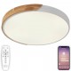 Накладной светильник Natali Kovaltseva LED LAMPS 81182 Scandinavian
