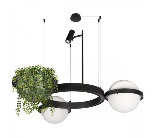 Подвесной светильник Loft it 10121/2 Jardin Подвесной светильник Loft it 10121/2 Jardin