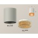 Накладной светильник Ambrella Light XS7423005 XS