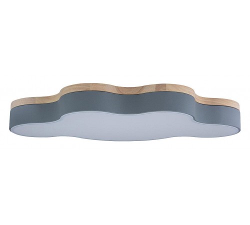 Накладной светильник Loft it 10005/36 Grey Axel 4 Накладной светильник Loft it 10005/36 Grey Axel 4