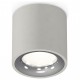 Накладной светильник Ambrella Light XS7533022 XS