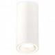 Накладной светильник Ambrella Light XS7442011 XS
