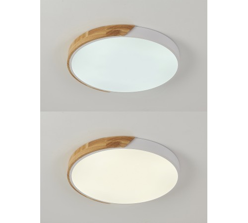 Накладной светильник Natali Kovaltseva LED LAMPS 81182 Scandinavian Накладной светильник Natali Kovaltseva LED LAMPS 81182 Scandinavian