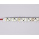 Лента светодиодная Ambrella Light GS3701 GS