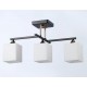 Люстра на штанге Ambrella Light TR303114 TR
