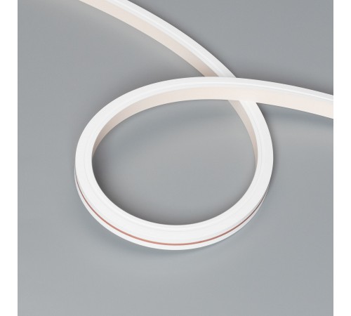 Шнур световой Arlight 051133 MOONLIGHT-TOP-X320-13x12mm Шнур световой Arlight 051133 MOONLIGHT-TOP-X320-13x12mm