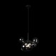 Подвесной светильник Loft it 2029-P6 mini Bolle