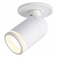 Встраиваемый светильник на штанге Ambrella Light TA1272 TA