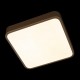 Накладной светильник Loft it 10228/C Flims