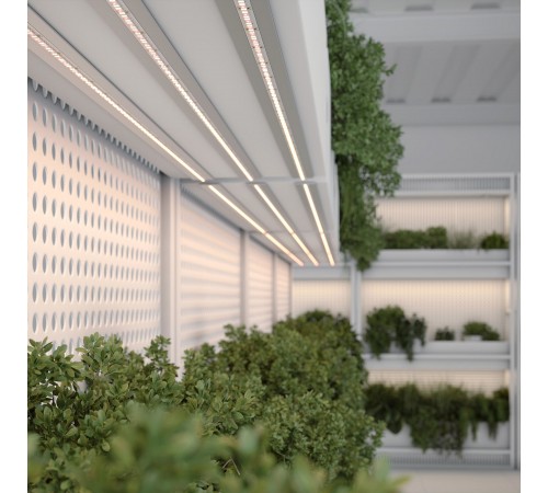 Лента светодиодная Arlight 038171 FITOLUX