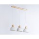 Подвесной светильник Ambrella Light TR83135 TR
