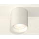 Накладной светильник Ambrella Light XS7421010 XS