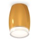 Накладной светильник Ambrella Light XS1125021 XS