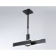 Светильник на штанге Ambrella Light FA6667 FL