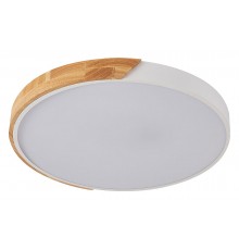 Накладной светильник Natali Kovaltseva LED LAMPS 81182 Scandinavian